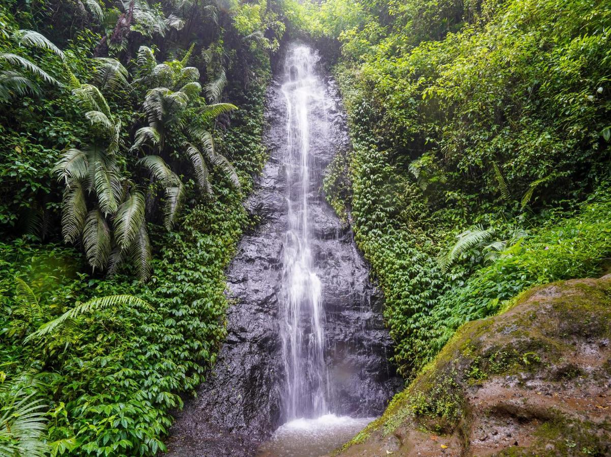 Oyo Homes 90915 Eco Tourism Desa Cihanjuang Rahayu Ciwangun Indah Camp Villas Bongkar Zewnętrze zdjęcie