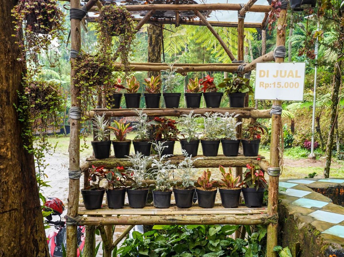 Oyo Homes 90915 Eco Tourism Desa Cihanjuang Rahayu Ciwangun Indah Camp Villas Bongkar Zewnętrze zdjęcie