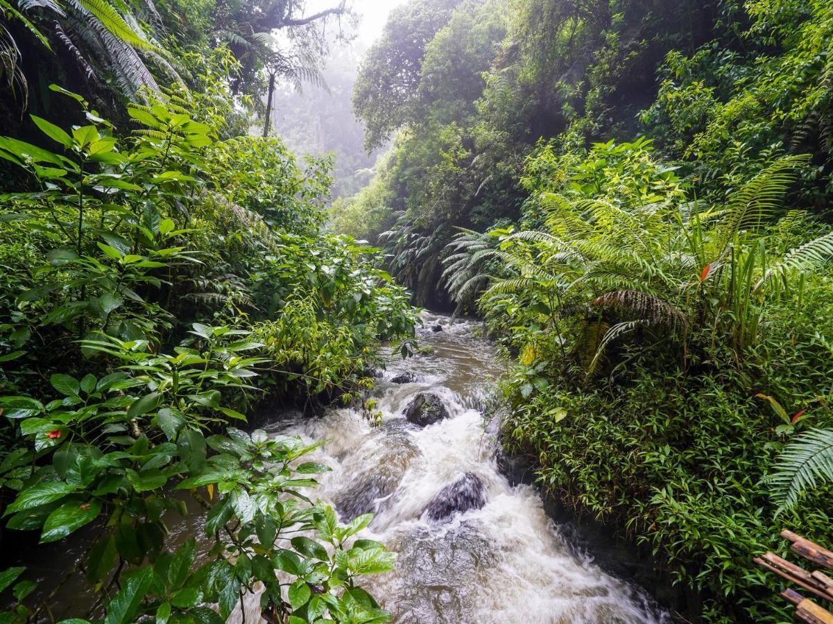 Oyo Homes 90915 Eco Tourism Desa Cihanjuang Rahayu Ciwangun Indah Camp Villas Bongkar Zewnętrze zdjęcie