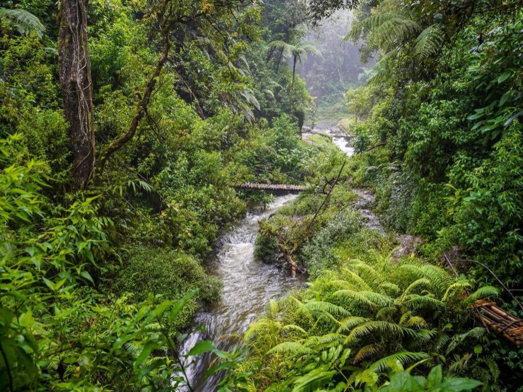 Oyo Homes 90915 Eco Tourism Desa Cihanjuang Rahayu Ciwangun Indah Camp Villas Bongkar Zewnętrze zdjęcie